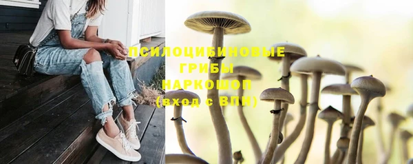 героин Алексин