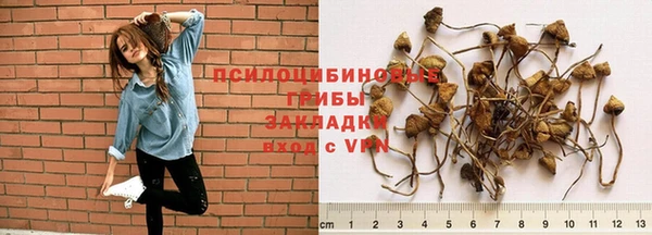 героин Алексин